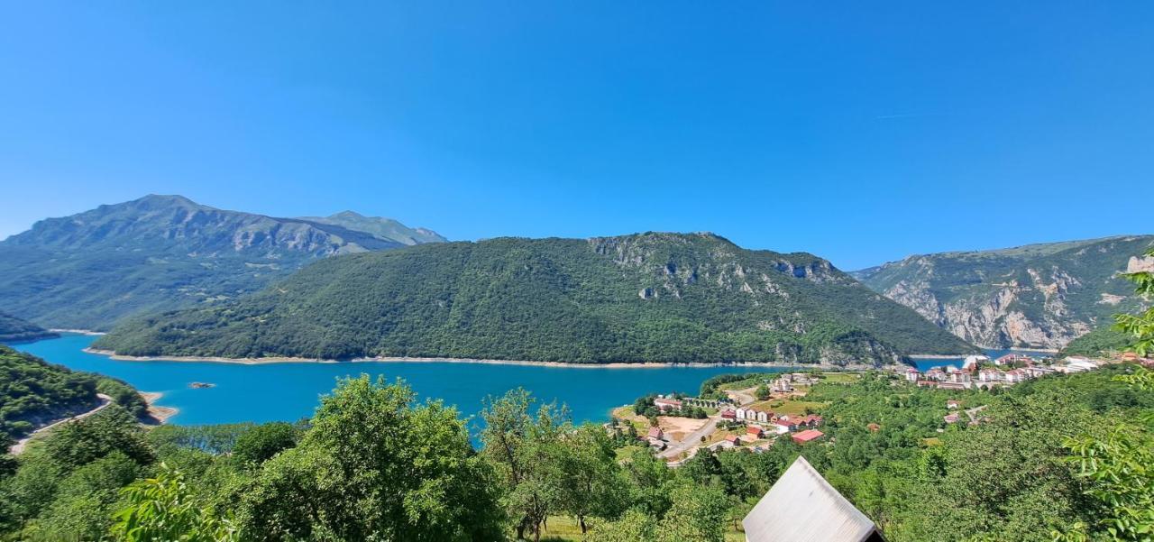 Apartman Sofija Plužine Dış mekan fotoğraf